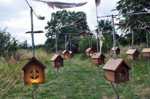 Jony Easterby: Remnant Ecologies / Do Not Feed the Birds